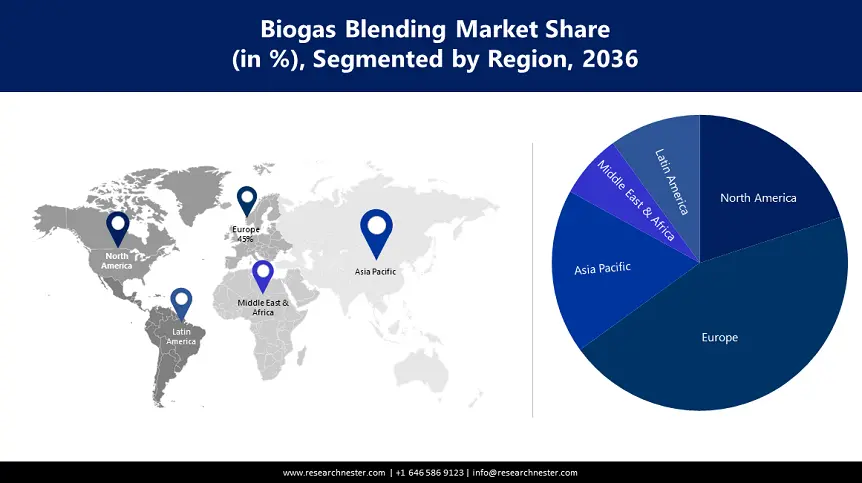 Biogas Blending Market Size